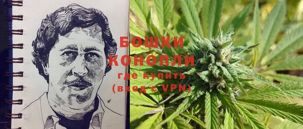 шишки Елизово