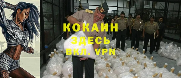 шишки Елизово