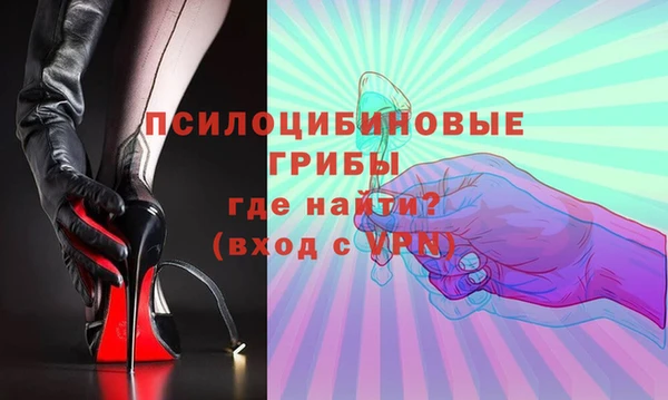 шишки Елизово