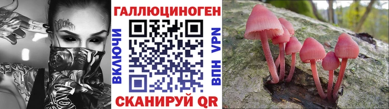 Галлюциногенные грибы Psilocybine cubensis  Купить где  Заволжск 